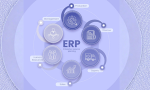 Enterprise Resources Planning